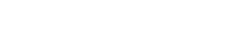 nordvpn logo