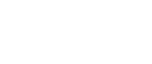 Saily logo